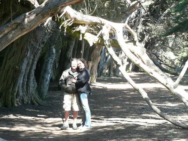 us in the Spooky Trees