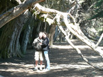us in the Spooky Trees