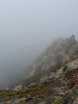 yup, still foggy