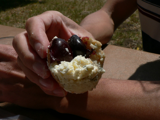 cherries and triple cream Mt. Tam cheese