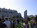 Big Assed Line for King Kong panel