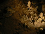 a "potato patch of stalagmites"