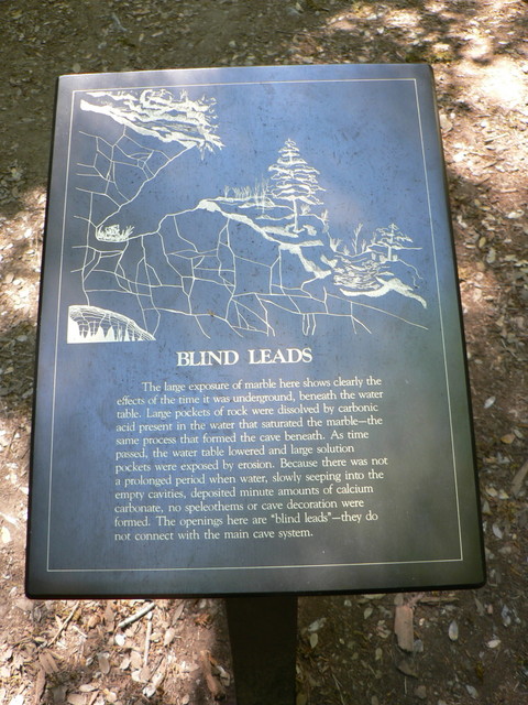 (blind leads)