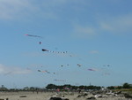 but the wind made for a great kite day