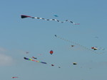 so many kites!