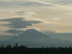 Mt. Rainier