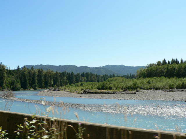 the Hoh River