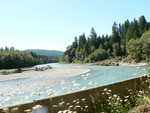 the Hoh River