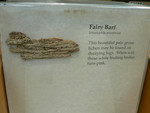 Fairy Barf !!!