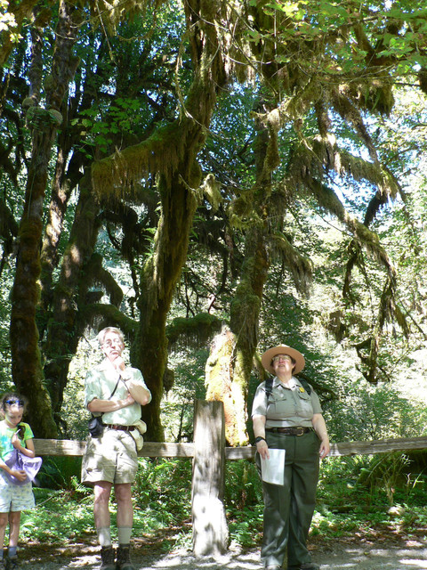 the Hoh Rainforest