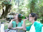 a Not-So-Proper Victorian Picnic in the Hoh Rainforest