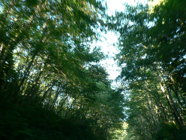 Cape Flattery