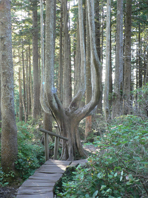 Cape Flattery