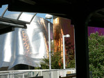 the EMP reflects light well