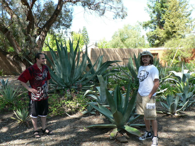 Steve and Jim at The Ruth Bancroft Gardens