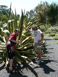 Steve and Jim at The Ruth Bancroft Gardens