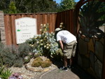 Jim at The Ruth Bancroft Gardens