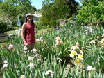 Jim at Cadd's Beehive Iris Garden