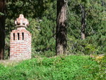 wildflower sod roof