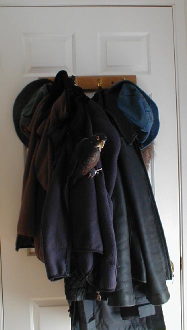 Machine Nation Book Club - Hang Your Coat Here Coatrack