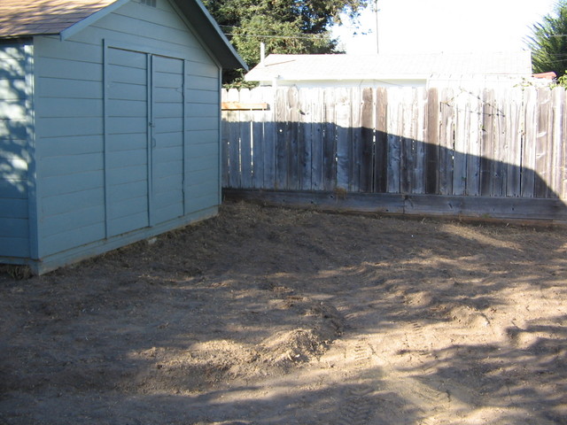 By the backyard shed you can see the outline of a path coming together