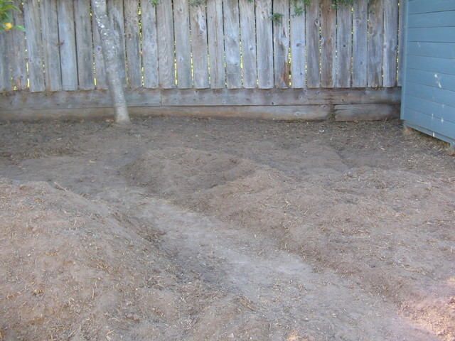 Towards the middle back of the back yard you see more of the path being formed