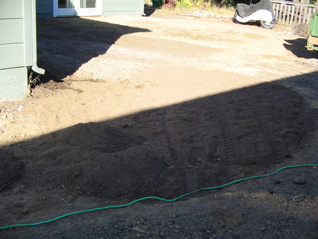 Another look at the front yard looking towards the front.