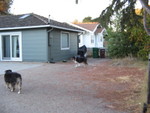 From the end of the driveway towards the right side of the house.