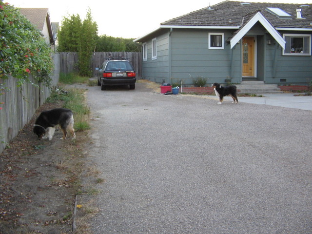 From the driveway looking at the left side of the house