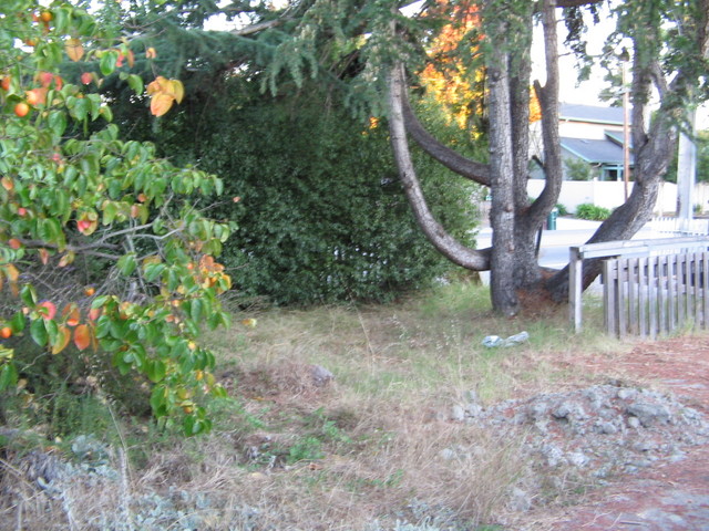 From the right side of the house as seen from the street looking towards the driveway entrance