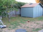 From the left part of the patio towards the shed