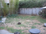 From the patio towards the left rear of the yard