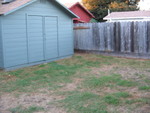 From the patio towards the shed