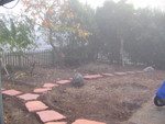 A new path by the persimmon and apricot/nectarine trees. And some boulders