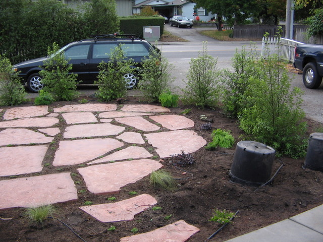 The patio with the hedge that will grow up in place with some small plants around the patio also.