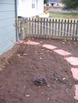 A small plant byt he only rose bush we kept.