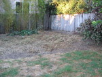 Left rear of the back yard.