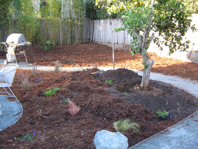 Plants in the center area in back and the lemon tree about to be moved.