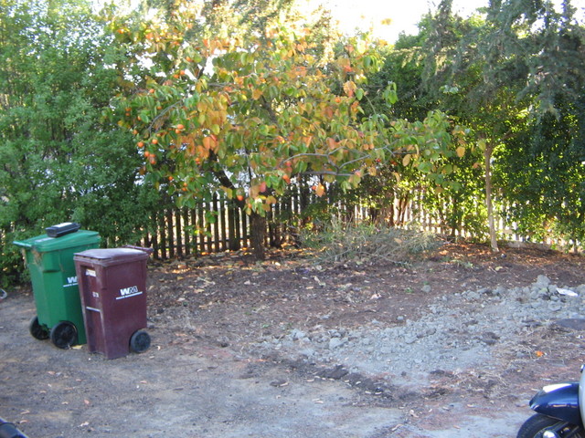 Also the mess under the persimmon tree is now gone