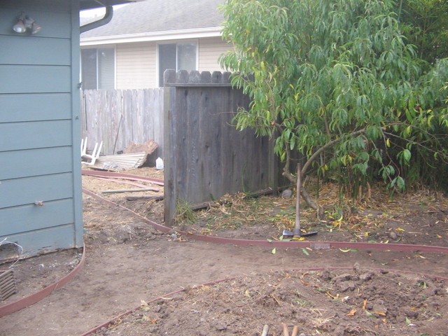 The gate was removed which also helped load Nicole's motorcycle into the landscaper's trailer. (She was nice enough to help take it to the mechanic.) Also they pruned up the apricot tree.