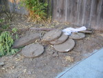 Stepping stones recovered from somewhere in the back yard. I have no idea where they were buried.